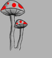 Shrooms II