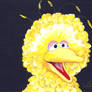 Little Big Bird