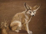 Fennec Fox by theclumsycorvid