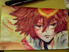 Sawada Tsunayoshi