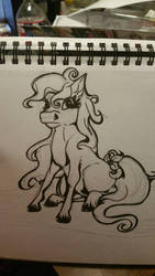 sketchy pony