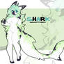 Shark Adopt CLOSED