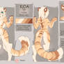Kida Refsheet
