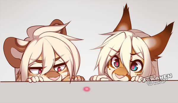 Cat stuff
