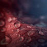 Droplets