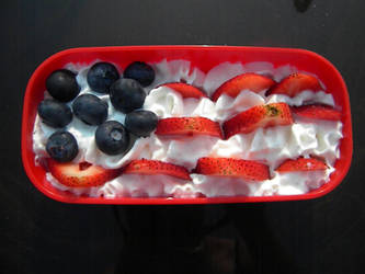 4th of July Snack Bento by Demi-Plum