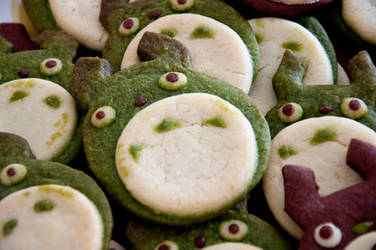 Totoro Cookies by Demi-Plum