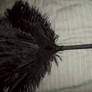 Ostrich Feather Fan