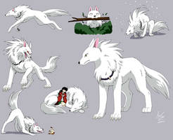 Inuyasha youkai dog form