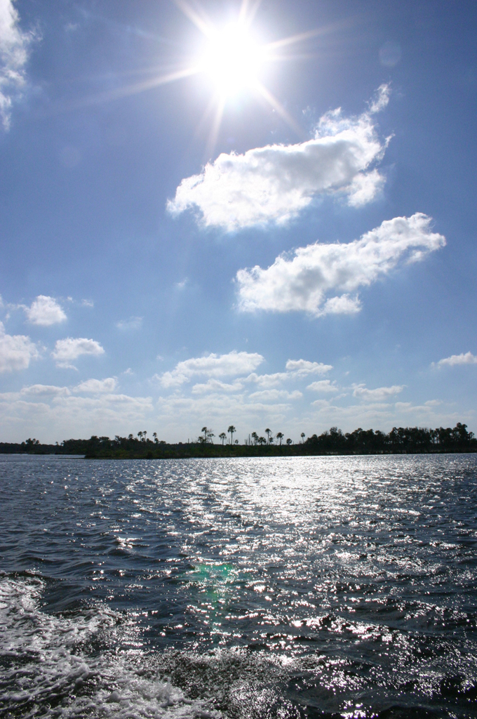 On the River