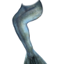 Mermaid Tail 05