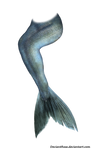 Mermaid Tail 05