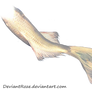 Mermaid Tail 06 (White Koi)