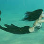 Black Koi Mermaid