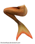 Mermaid Tail 12 (Orange)