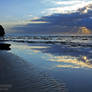 Reflection's at Sharky's Beach