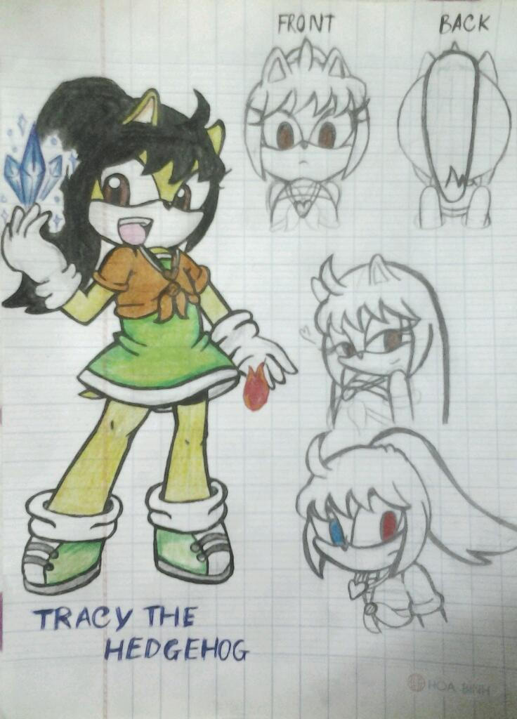 Tracy the hedgehog by Whitecat1998 on DeviantArt