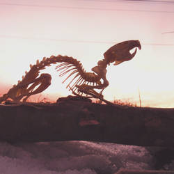 Rat Skeleton Sunrise 1