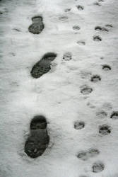 Footsteps in the snow