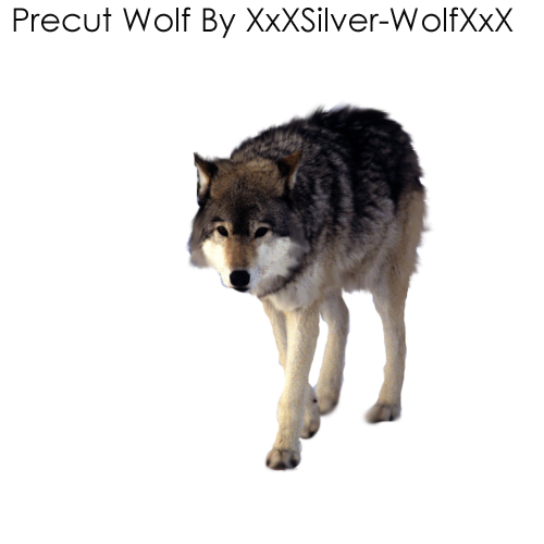 Precut Wolf2