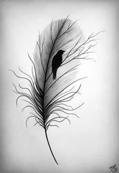 Feather