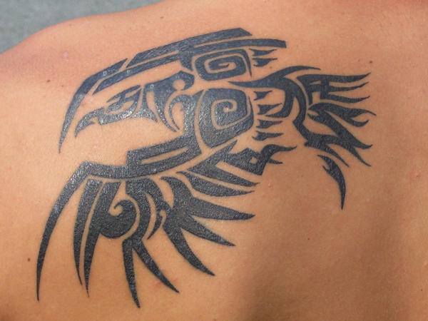 Raven Tribal Tattoo