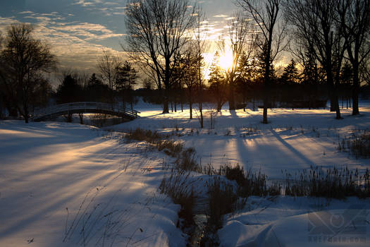 Last rays for a frozen marsh