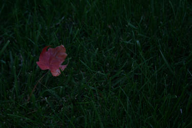 Loner Leaf