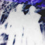 Shadows