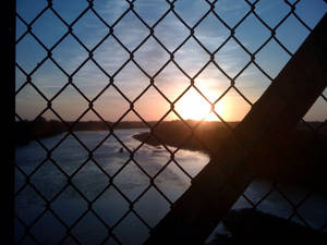 Chain-link Sundown 2