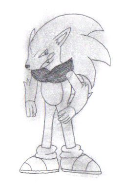 Zonic the Hedgehog