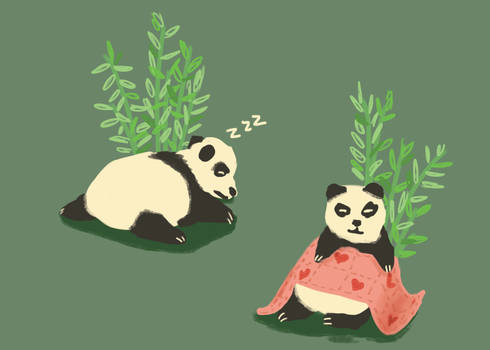 Sleepy Pandas