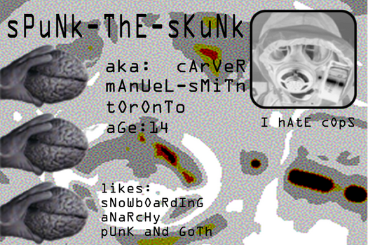 sPuNk-ThE-sKuNk ID