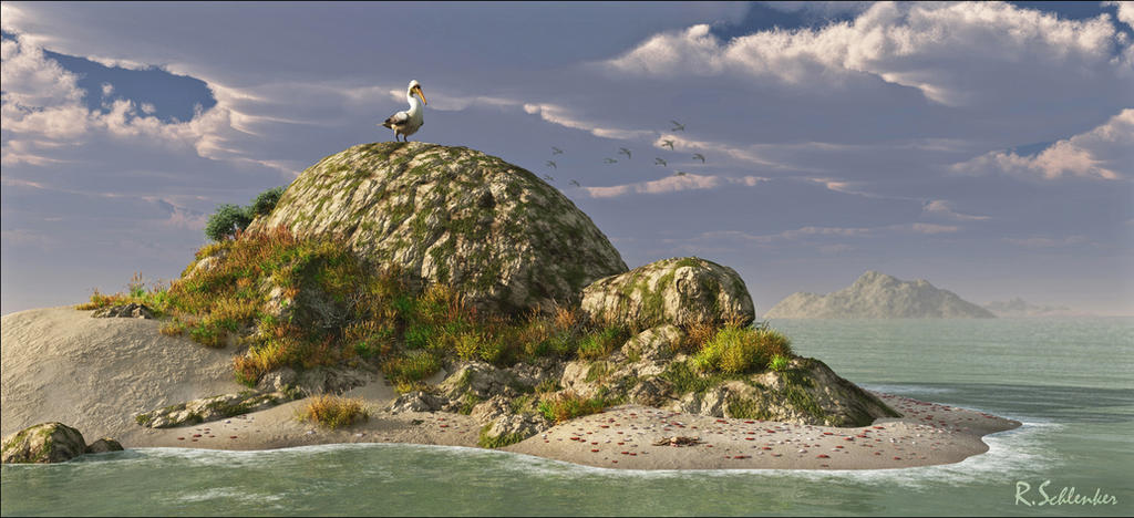 Turtle Key Turtle Key by RSchlenker on DeviantArt