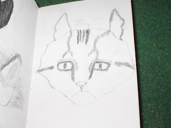 Easy Rascal Drawing Rascal Sketch by Joimbob on DeviantArt
