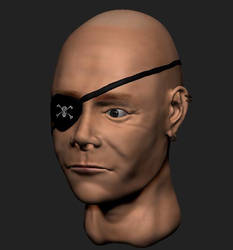 Pirate head [fastsculpt]