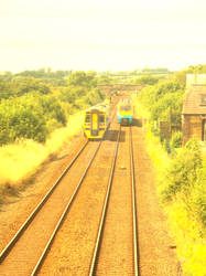 Trains at Llanfair p.g station