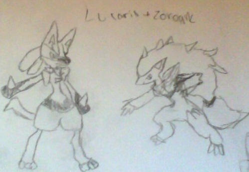 Lucario and Zoroak