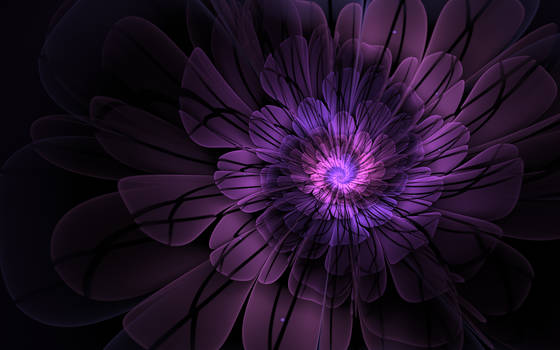 Purple Blossom