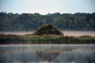 Misty Morning