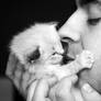 Purrrfect Love