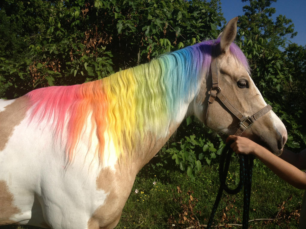 Rainbow Mane by o-shea