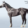 Horse Render