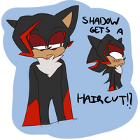 Shadow Gets A Haircut (old)