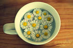 Cup of Daisies by JunsuiFox