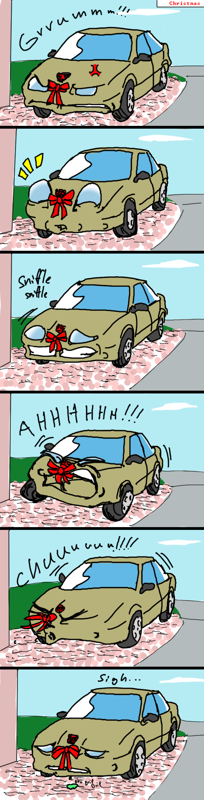 Why Cars Hate Christmas...