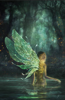 Couverture pour livre book cover illustration
