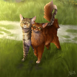 Bramblestar and Squirrelflight