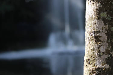 log fountain