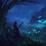 The Glass Forest